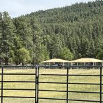 The stables and outdoors at Camp.